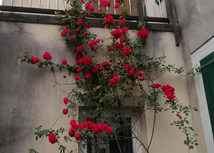 Maison Alba La Source 3* Мазаме